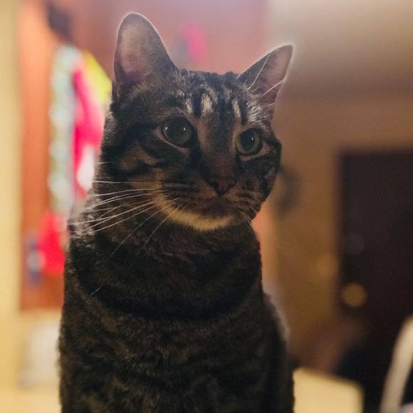 Meet the Posher - Picture 3 of 5